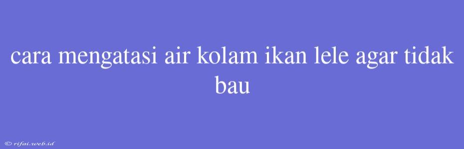 Cara Mengatasi Air Kolam Ikan Lele Agar Tidak Bau