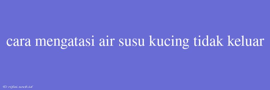 Cara Mengatasi Air Susu Kucing Tidak Keluar