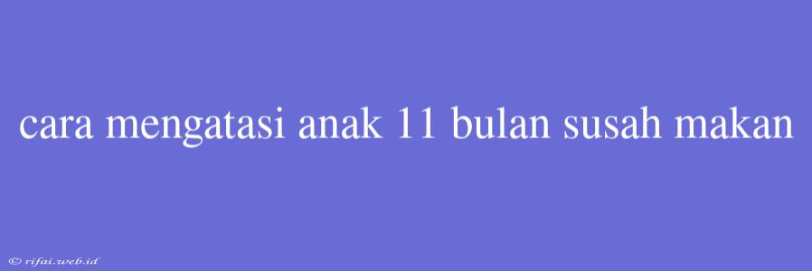 Cara Mengatasi Anak 11 Bulan Susah Makan