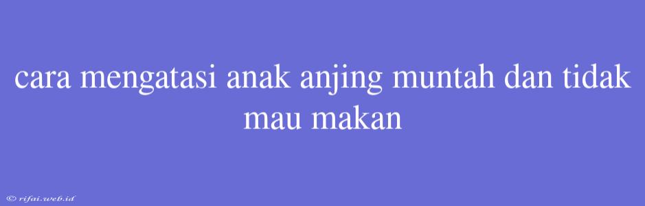 Cara Mengatasi Anak Anjing Muntah Dan Tidak Mau Makan