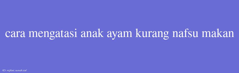 Cara Mengatasi Anak Ayam Kurang Nafsu Makan