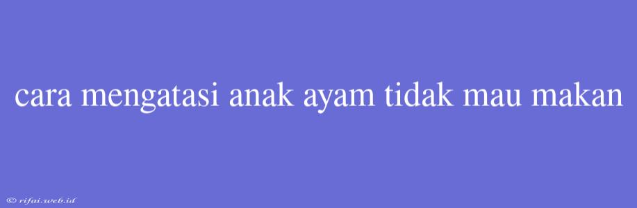 Cara Mengatasi Anak Ayam Tidak Mau Makan