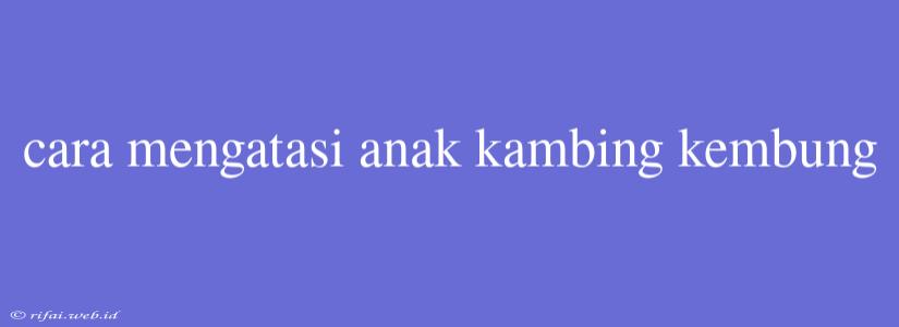 Cara Mengatasi Anak Kambing Kembung