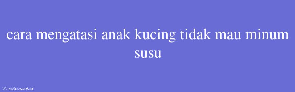 Cara Mengatasi Anak Kucing Tidak Mau Minum Susu