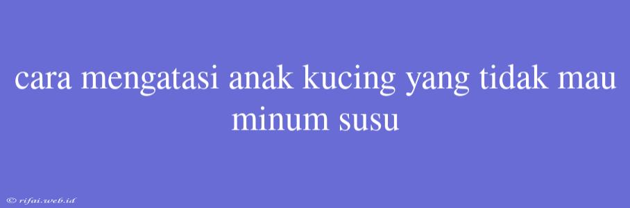 Cara Mengatasi Anak Kucing Yang Tidak Mau Minum Susu