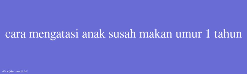 Cara Mengatasi Anak Susah Makan Umur 1 Tahun