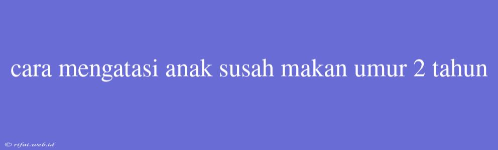 Cara Mengatasi Anak Susah Makan Umur 2 Tahun