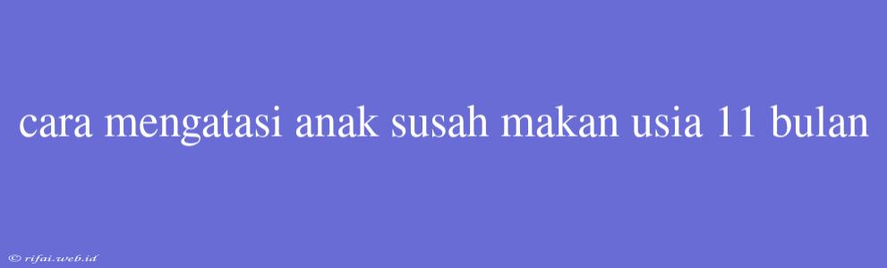 Cara Mengatasi Anak Susah Makan Usia 11 Bulan