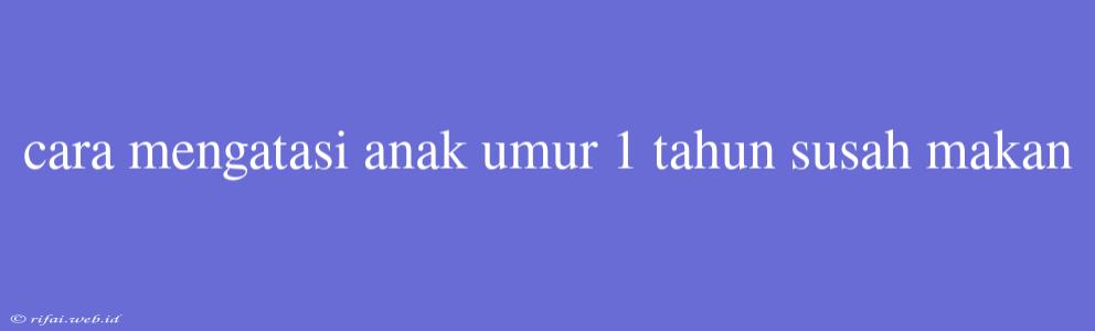 Cara Mengatasi Anak Umur 1 Tahun Susah Makan