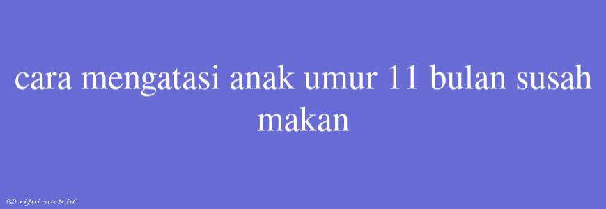 Cara Mengatasi Anak Umur 11 Bulan Susah Makan