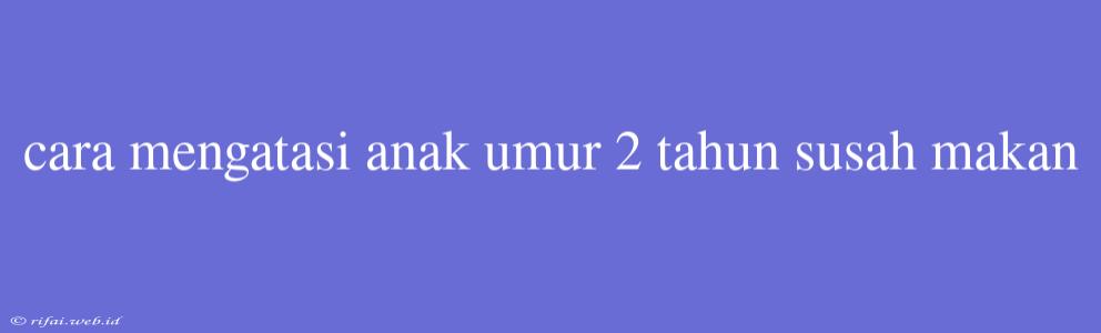 Cara Mengatasi Anak Umur 2 Tahun Susah Makan