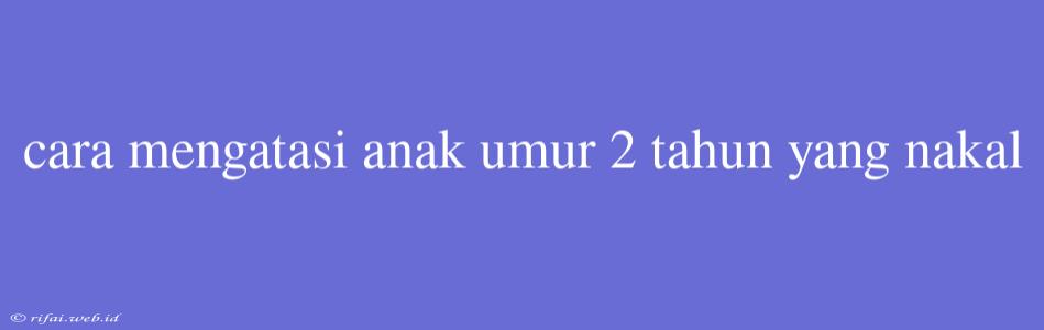 Cara Mengatasi Anak Umur 2 Tahun Yang Nakal