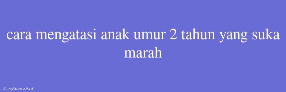 Cara Mengatasi Anak Umur 2 Tahun Yang Suka Marah