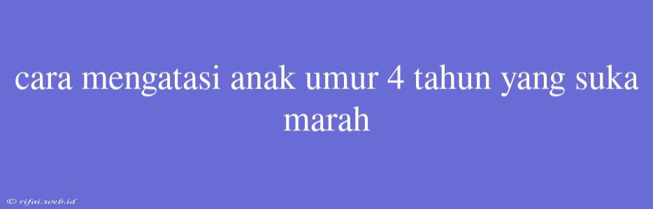 Cara Mengatasi Anak Umur 4 Tahun Yang Suka Marah