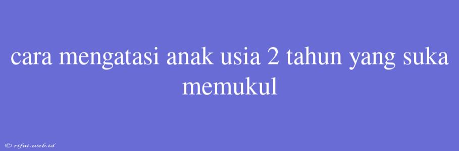 Cara Mengatasi Anak Usia 2 Tahun Yang Suka Memukul