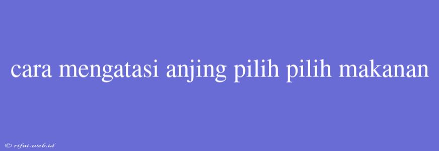 Cara Mengatasi Anjing Pilih Pilih Makanan