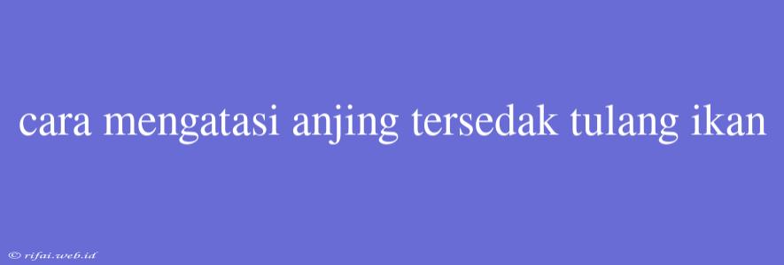 Cara Mengatasi Anjing Tersedak Tulang Ikan