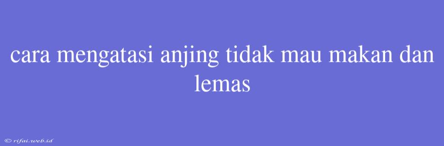 Cara Mengatasi Anjing Tidak Mau Makan Dan Lemas