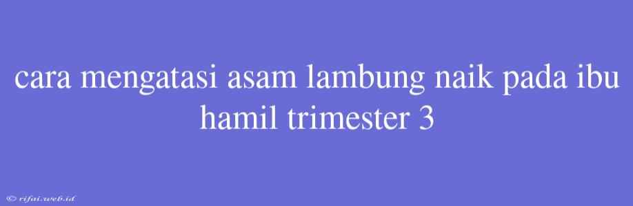 Cara Mengatasi Asam Lambung Naik Pada Ibu Hamil Trimester 3