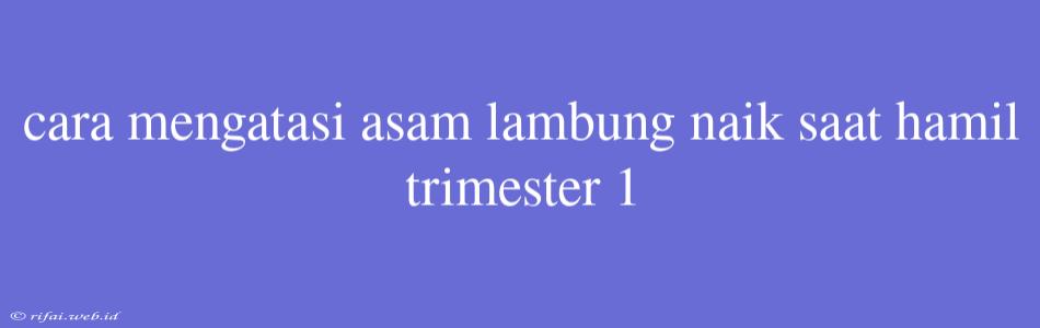 Cara Mengatasi Asam Lambung Naik Saat Hamil Trimester 1