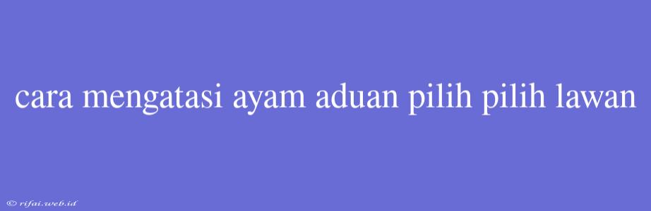 Cara Mengatasi Ayam Aduan Pilih Pilih Lawan