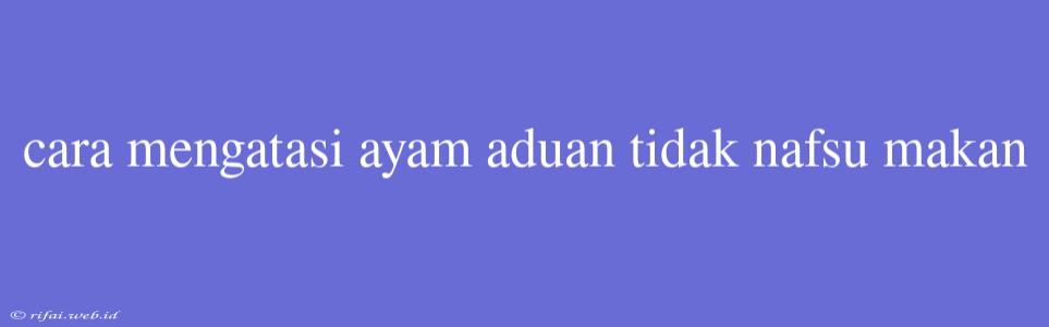 Cara Mengatasi Ayam Aduan Tidak Nafsu Makan