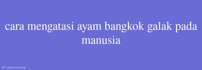 Cara Mengatasi Ayam Bangkok Galak Pada Manusia