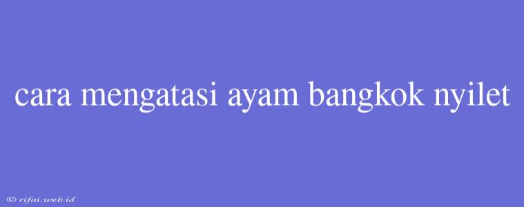 Cara Mengatasi Ayam Bangkok Nyilet