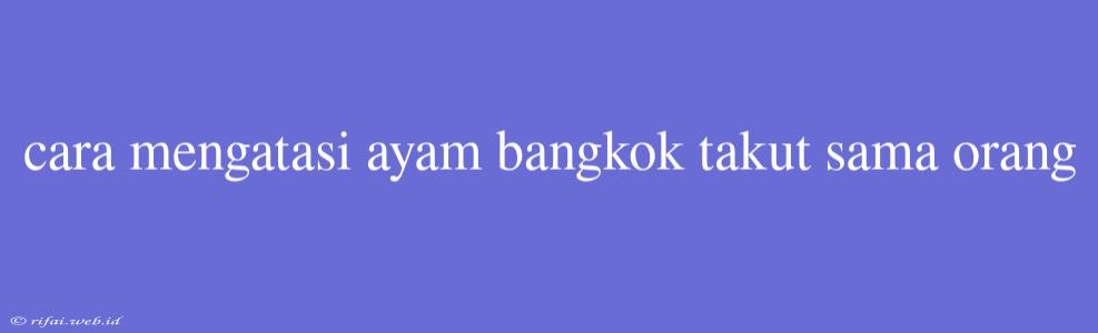 Cara Mengatasi Ayam Bangkok Takut Sama Orang