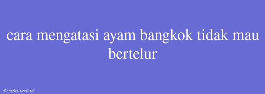 Cara Mengatasi Ayam Bangkok Tidak Mau Bertelur