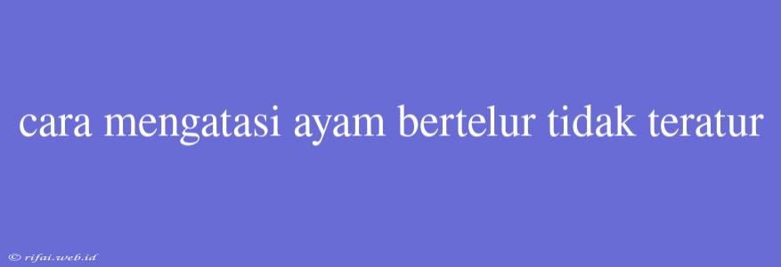 Cara Mengatasi Ayam Bertelur Tidak Teratur