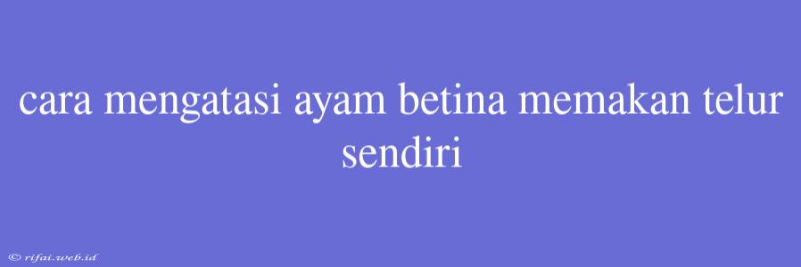 Cara Mengatasi Ayam Betina Memakan Telur Sendiri