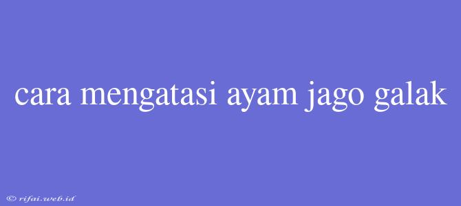 Cara Mengatasi Ayam Jago Galak