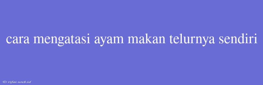 Cara Mengatasi Ayam Makan Telurnya Sendiri