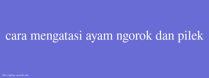 Cara Mengatasi Ayam Ngorok Dan Pilek