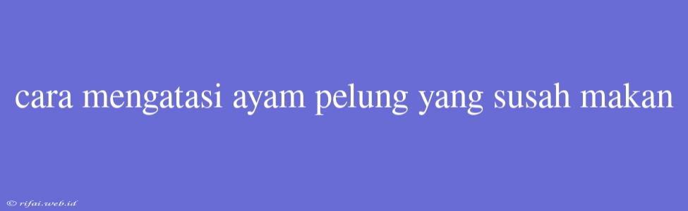 Cara Mengatasi Ayam Pelung Yang Susah Makan