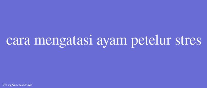 Cara Mengatasi Ayam Petelur Stres