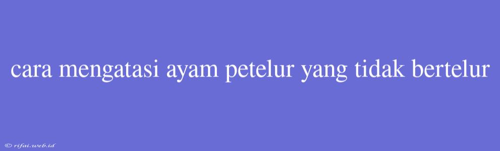 Cara Mengatasi Ayam Petelur Yang Tidak Bertelur