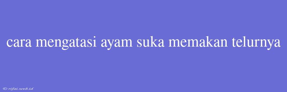 Cara Mengatasi Ayam Suka Memakan Telurnya