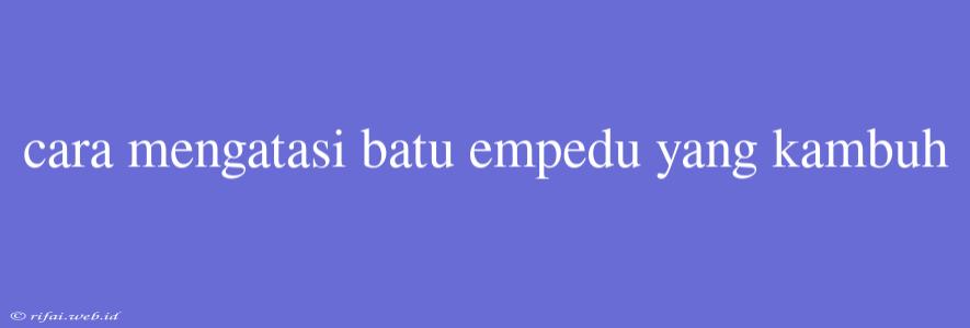 Cara Mengatasi Batu Empedu Yang Kambuh