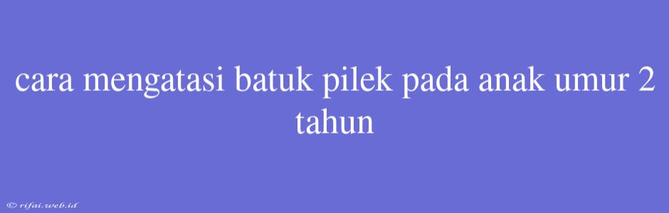 Cara Mengatasi Batuk Pilek Pada Anak Umur 2 Tahun