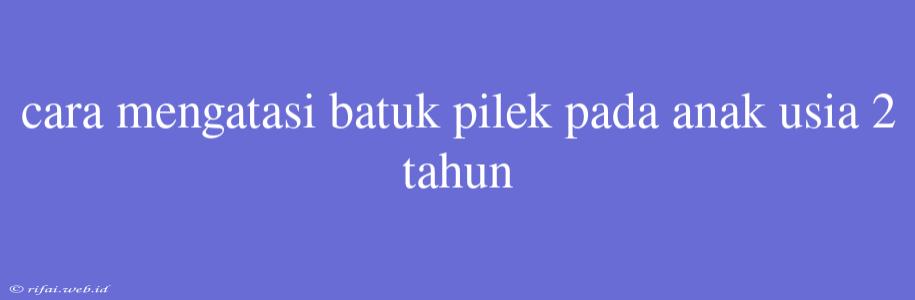 Cara Mengatasi Batuk Pilek Pada Anak Usia 2 Tahun