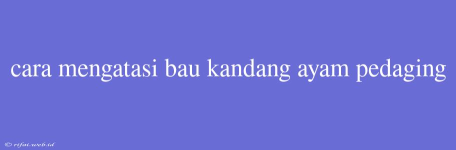 Cara Mengatasi Bau Kandang Ayam Pedaging