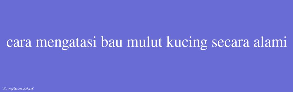 Cara Mengatasi Bau Mulut Kucing Secara Alami