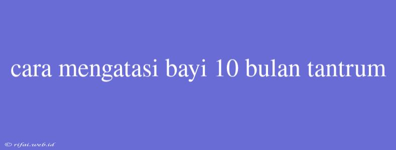 Cara Mengatasi Bayi 10 Bulan Tantrum