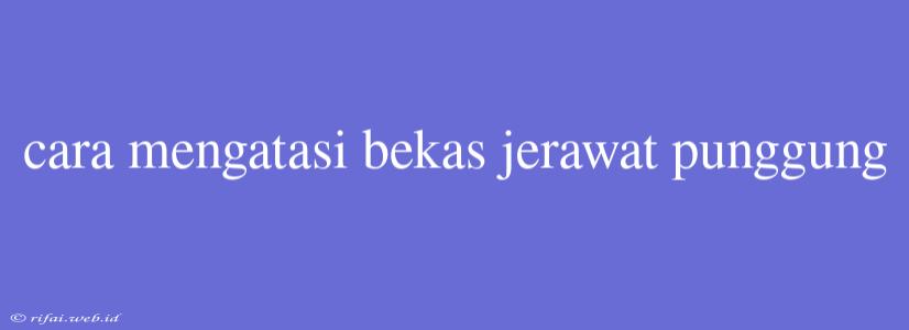 Cara Mengatasi Bekas Jerawat Punggung