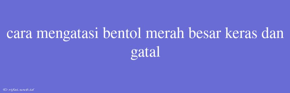 Cara Mengatasi Bentol Merah Besar Keras Dan Gatal