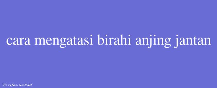 Cara Mengatasi Birahi Anjing Jantan