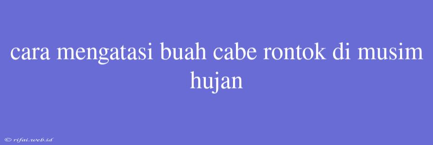 Cara Mengatasi Buah Cabe Rontok Di Musim Hujan