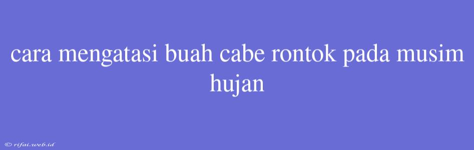 Cara Mengatasi Buah Cabe Rontok Pada Musim Hujan